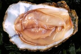 Oyster- ը սեքսուալ խթանիչ հզոր խթանիչ է